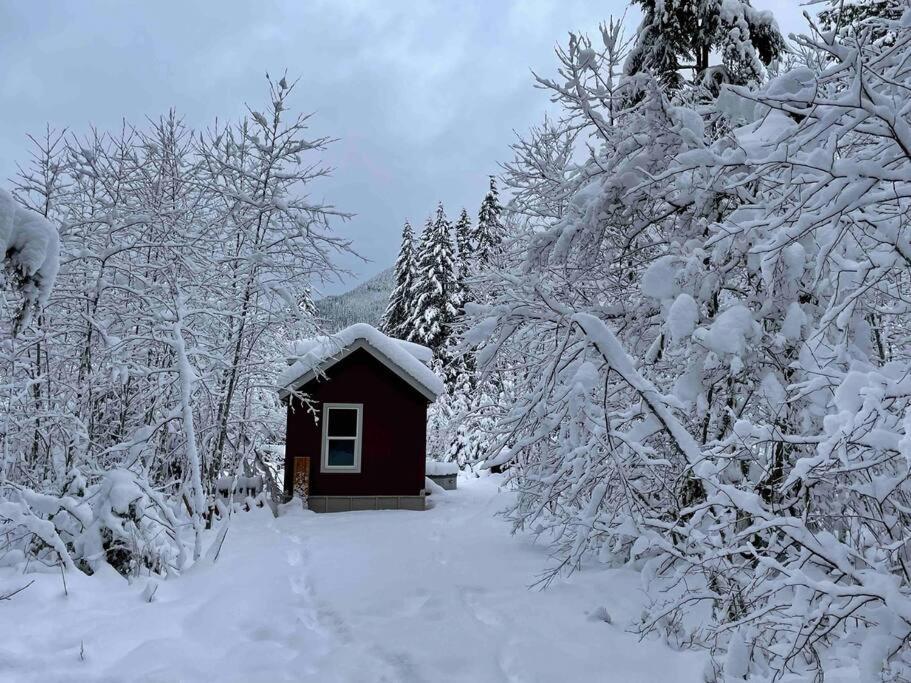 Cozy Tiny Home Steps Away From Mt. Rainier แอชฟอร์ด ภายนอก รูปภาพ