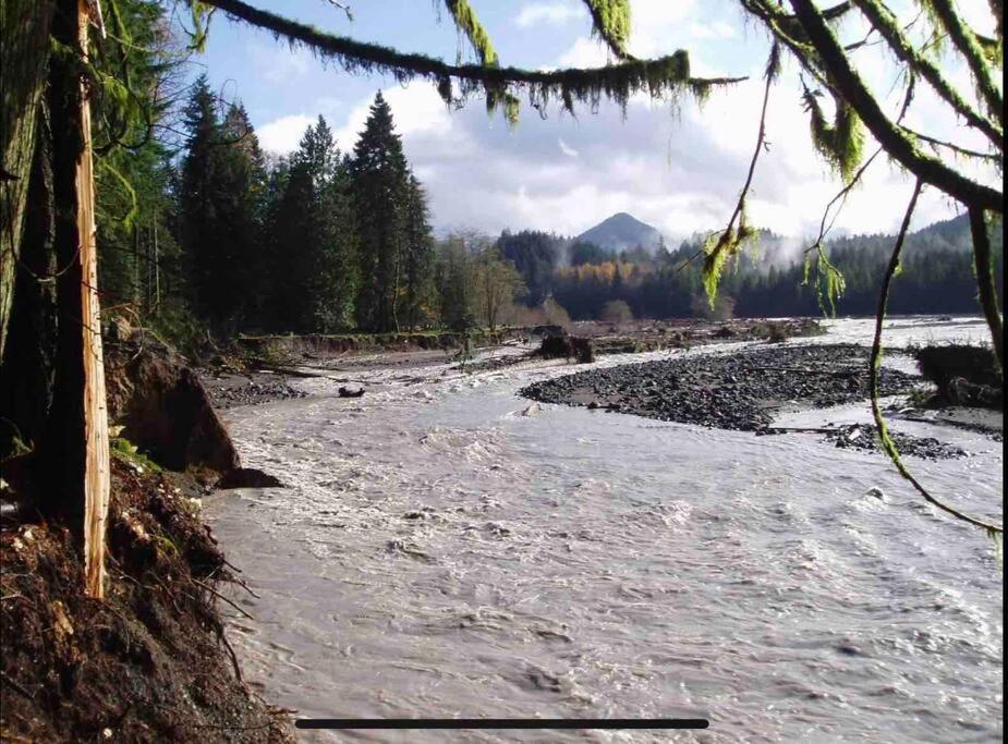 Cozy Tiny Home Steps Away From Mt. Rainier แอชฟอร์ด ภายนอก รูปภาพ