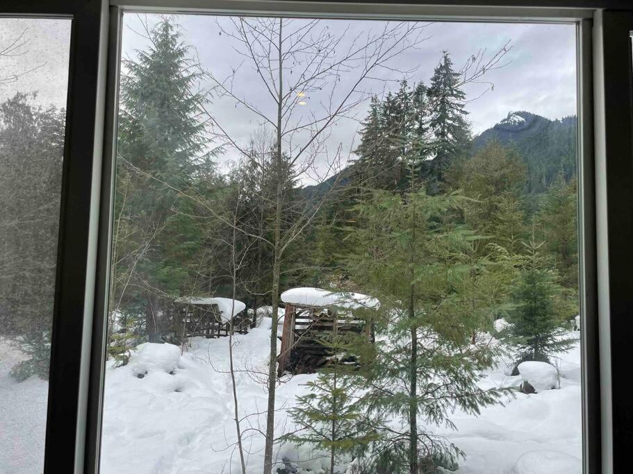 Cozy Tiny Home Steps Away From Mt. Rainier แอชฟอร์ด ภายนอก รูปภาพ